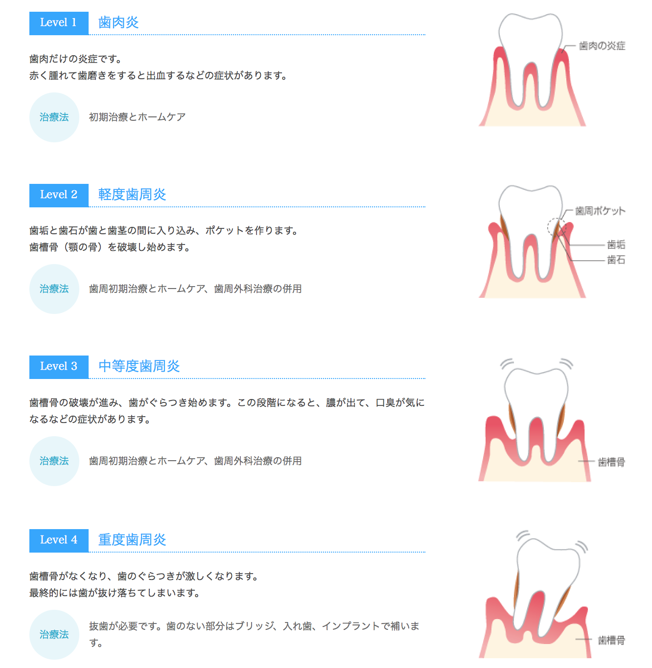 スクリーンショット 2018-11-28 11.14.40