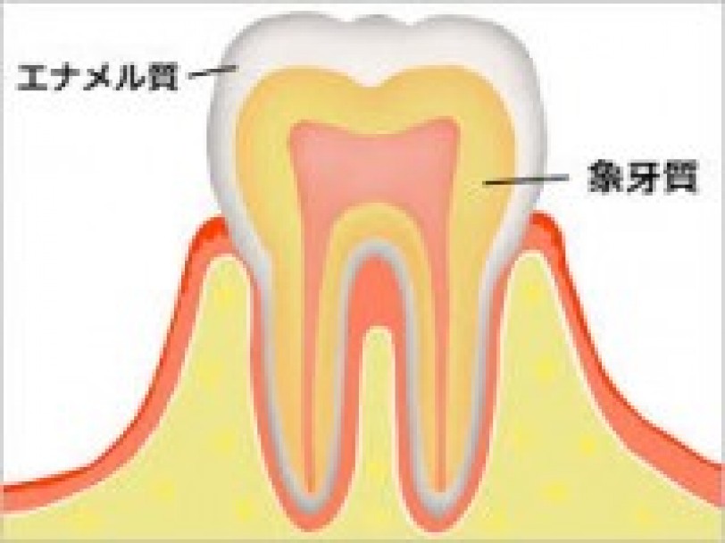 新浦安の歯医者 ホワイトニングのメカニズム 栗林歯科医院